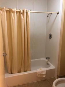 Koupelna v ubytování Travel Inn Motel