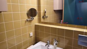 La salle de bains est pourvue d'un lavabo et d'un miroir. dans l'établissement Sofia, à Balderschwang