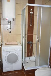 Kupatilo u objektu Apartmani Petar