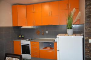 A kitchen or kitchenette at Apartmani Petar