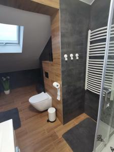 Ένα μπάνιο στο Apartament Krystyna II +32 φωτογραφίες