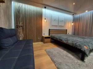 a bedroom with a bed and a couch at ВИТАЛИЯ МАТУСЕВИЧА ДОМ 4 in Kryvyi Rih