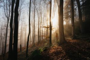 Fotografie z fotogalerie ubytování Apartmány Pod Kopcem - Monínec v destinaci Moninec