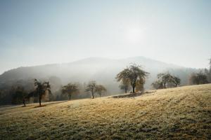 Fotografie z fotogalerie ubytování Apartmány Pod Kopcem - Monínec v destinaci Moninec