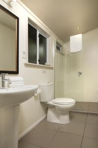 uma casa de banho com um WC, um lavatório e um chuveiro em Furneaux Lodge em Endeavour Inlet