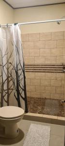 a bathroom with a shower curtain and a toilet at Chalet San Juanillo in San Juanillo