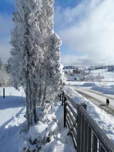 a tree covered in snow next to a fence at Tarin zov in Kaludjerske Bare