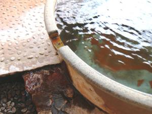 a hose sticking out of the water in a bucket at Matsunoi in Takayama