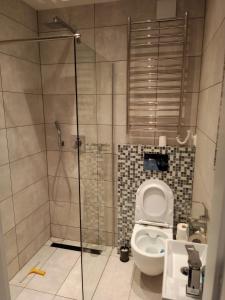 a bathroom with a toilet and a glass shower stall at Apartament na Zakręcie in Szklarska Poręba