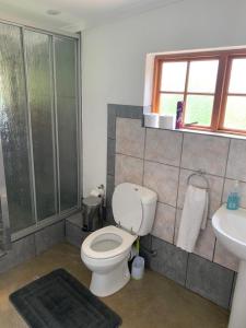 y baño con aseo, ducha y lavamanos. en Mokoya Lodge, en Hekpoort