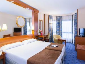um quarto de hotel com uma cama grande e uma televisão em Hotel los Bracos em Logroño