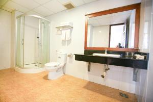 bagno con servizi igienici, lavandino e specchio di Tre Xanh Hotel a Pleiku