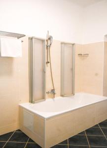 eine Badewanne im Bad mit Dusche in der Unterkunft Highlight Suite Donaustadt in Wien