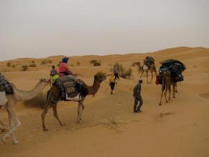 a group of people riding camels in the desert at Grand Sud, la maison de sable in Douz