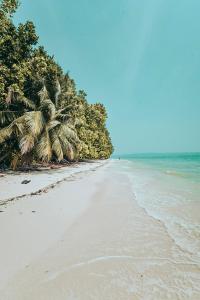 a sandy beach with palm trees and the ocean at Munjoh Ocean Resort - Private Beachfront Luxury Retreat in Havelock in Havelock Island