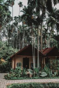 a house with palm trees in front of it at Munjoh Ocean Resort - Private Beachfront Luxury Retreat in Havelock in Havelock Island