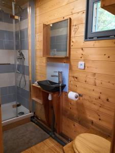 La salle de bains est pourvue d'un lavabo et d'une douche. dans l'établissement La Roulotte de Negra, à Montesquieu-Lauragais