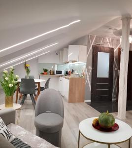 Kuchyňa alebo kuchynka v ubytovaní Apartamenty Królewskie