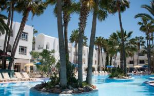 una piscina del complejo con palmeras y tumbonas en Hotel Nesrine Hammamet, en Hammamet