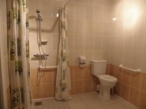 a bathroom with a toilet and a shower at Les Bacchusiennes in Saint-Georges-sur-Layon