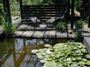 dos bancos sentados junto a un estanque con nenúfares en Les Gîtes de l'Escalier, en Brumath