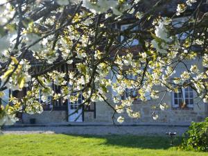 uma árvore com flores brancas em frente a um edifício em Maison d'Hôtes la Bihorée em Lisieux