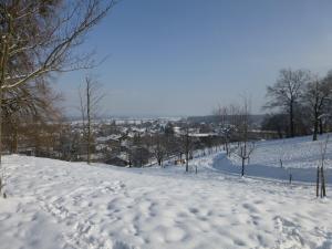 Wachingerhof during the winter