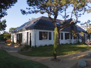 a white house with a tree in front of it at La Dolce Vita in Fouesnant