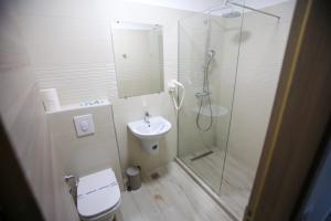 エフォリエ・ノルドにあるVila Panoramicのバスルーム(シャワー、トイレ、シンク付)