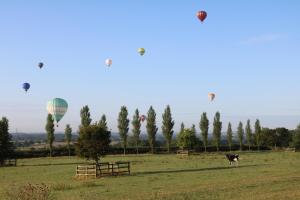 una vaca parada en un campo con globos de aire caliente en Old Church Farm en Rudgeway