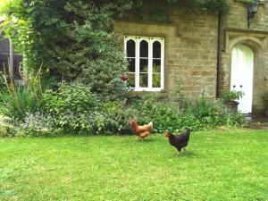 A garden outside Old Vicarage B&B 