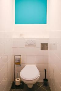 a bathroom with a white toilet and a blue picture at Backpacker Apartment Hofburg in Vienna