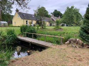a dog walking across a wooden bridge in front of a house at Beautiful Highland 1-Bed Cottage in Inverness