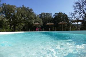 una gran piscina con sombrillas en un patio en Mas de Coulet en Brissac