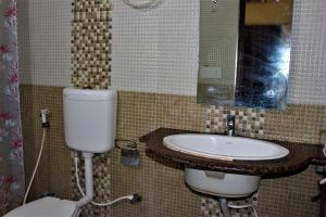 a bathroom with a sink and a toilet and a mirror at HOTEL PARK LAGOON in Puri