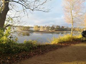 a person riding a bike next to a lake at Royaltybed Copenhagen in Copenhagen