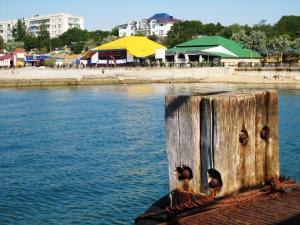 un grupo de aves posadas en un poste de madera junto al agua en Prichal-Primorskiy Hotel, en Prymorskyy