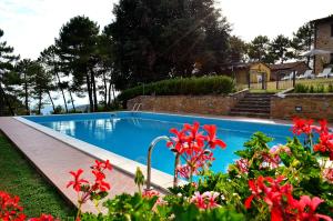Bazén v ubytování Casa Vacanze "L'Aione" nebo v jeho okolí + 37 fotografií