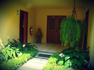 Zahrada ubytování Casa de Baraybar