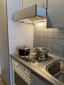 a kitchen with two pans on a stove with a sink at St Martin Apartments in Täsch