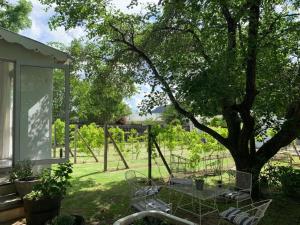 a patio with a table and chairs under a tree at Cranberry Cottage in Ladybrand