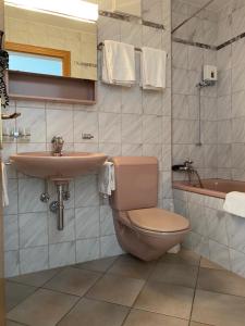 a bathroom with a toilet and a sink and a tub at St Martin Apartments in Täsch