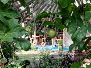 Chez Oliv في بالومينو: اطلالة على منزل مع مسبح