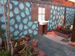 Puutarhaa majoituspaikan Nueva Alborada Lodging House ulkopuolella