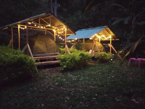 Zahrada ubytování Hostal Payaca