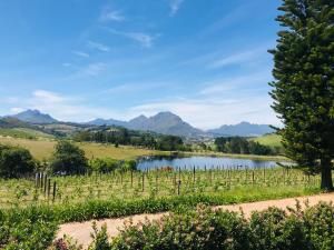 a view of a vineyard with a lake and mountains at Winelands guest room in Stellenbosch