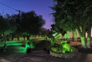 Vonkajšia záhrada v ubytovaní Vlycha Beach Apartments