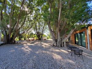 a table and chairs sitting under a group of trees at Hotel Los Laureles in Conca