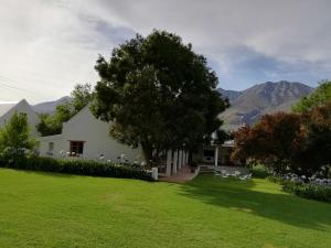 a white house with a tree and a yard at Blue Lily Retreat in Matjiesrivier