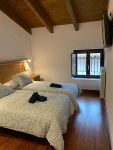 a bedroom with two beds and a flat screen tv at Atico Jaca Centro in Jaca